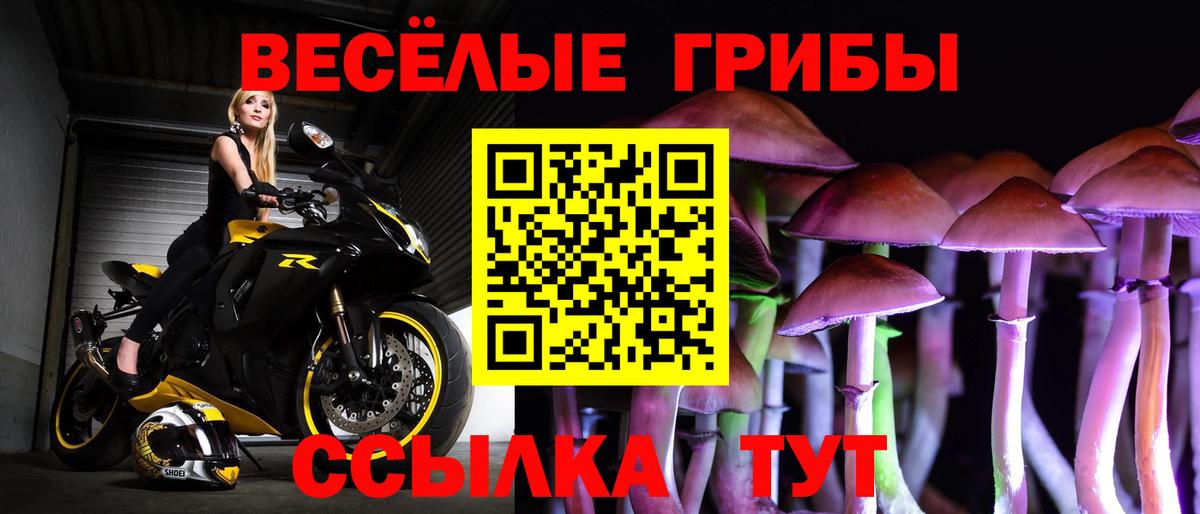 Галлюциногенные грибы Magic Shrooms  где купить наркоту  Вход с VPN  Унеча  Псилоцибиновые грибы Cubensis 